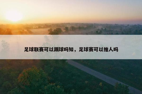 足球联赛可以踢球吗知，足球赛可以推人吗