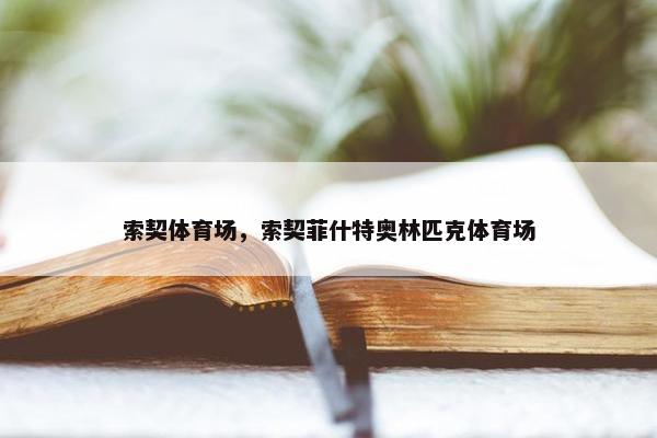 索契体育场，索契菲什特奥林匹克体育场