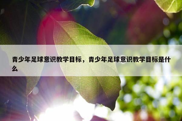 青少年足球意识教学目标，青少年足球意识教学目标是什么
