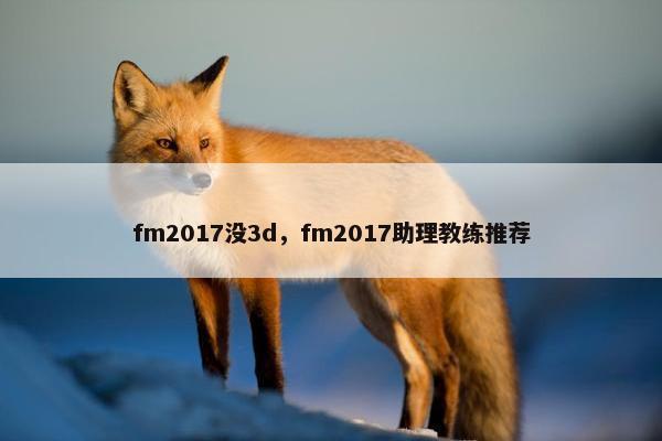fm2017没3d，fm2017助理教练推荐