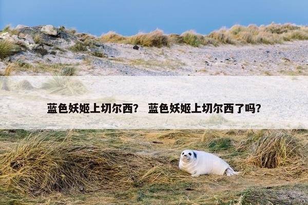 蓝色妖姬上切尔西？ 蓝色妖姬上切尔西了吗？