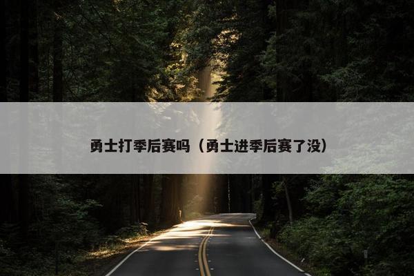 勇士打季后赛吗（勇士进季后赛了没）