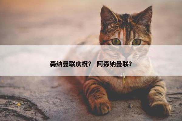 森纳曼联庆祝？ 阿森纳曼联？