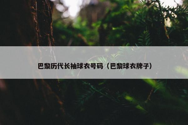 巴黎历代长袖球衣号码（巴黎球衣牌子）