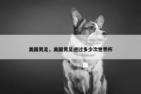 美国男足，美国男足进过多少次世界杯