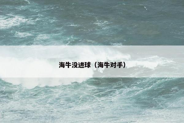 海牛没进球（海牛对手）