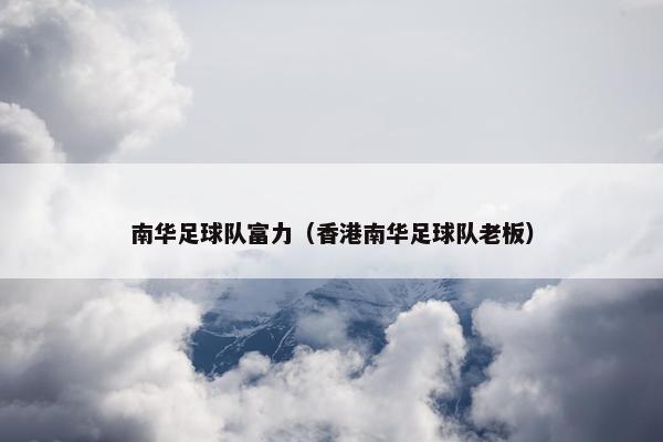 南华足球队富力（香港南华足球队老板）