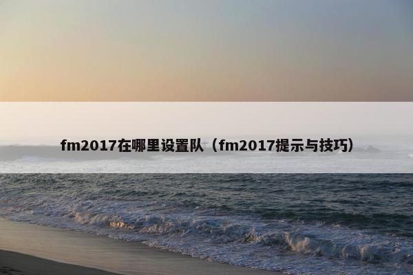 fm2017在哪里设置队（fm2017提示与技巧）