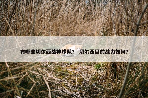 有哪些切尔西战神球队？ 切尔西目前战力如何？