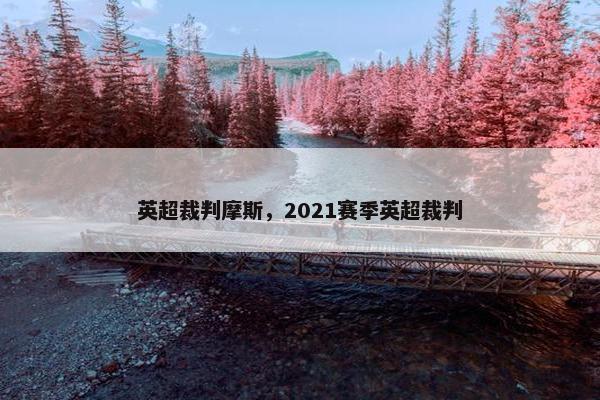 英超裁判摩斯,2021赛季英超裁判 英超裁判摩斯,2021赛季英超裁判