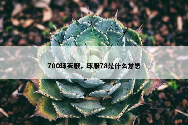 700球衣服，球服78是什么意思