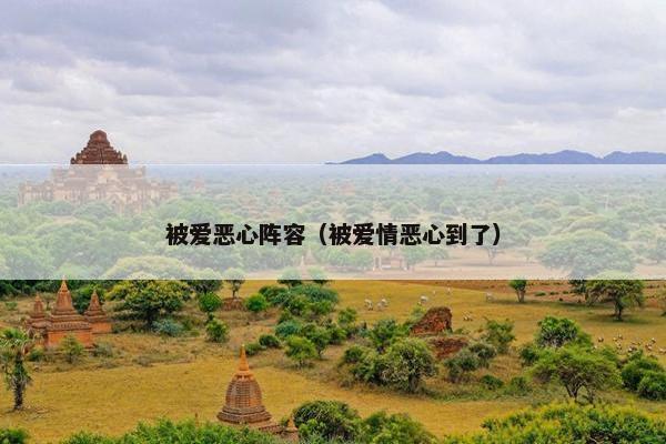 被爱恶心阵容（被爱情恶心到了）