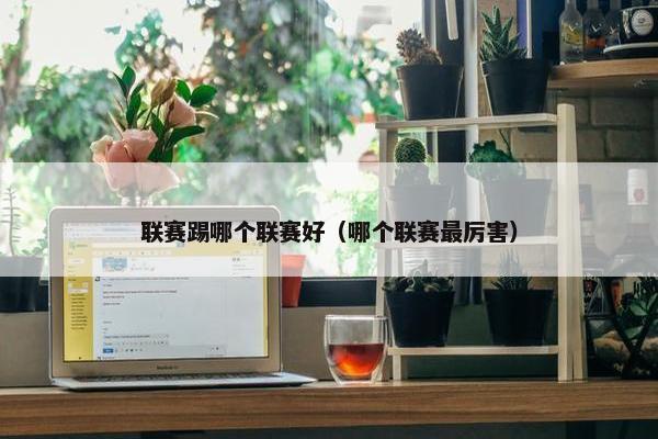 联赛踢哪个联赛好（哪个联赛最厉害）