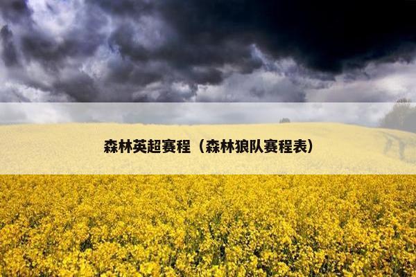 森林英超赛程（森林狼队赛程表）
