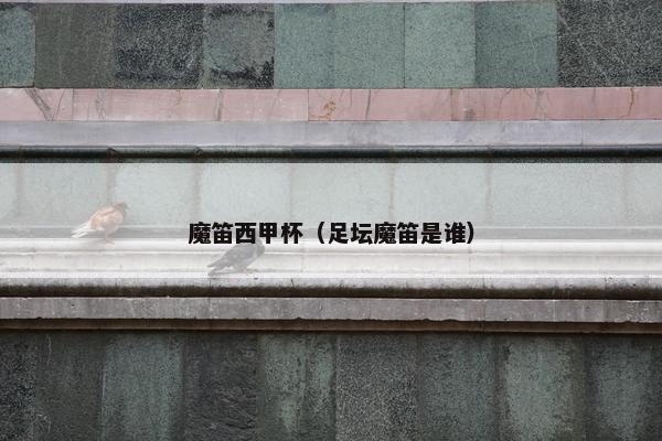 魔笛西甲杯（足坛魔笛是谁）