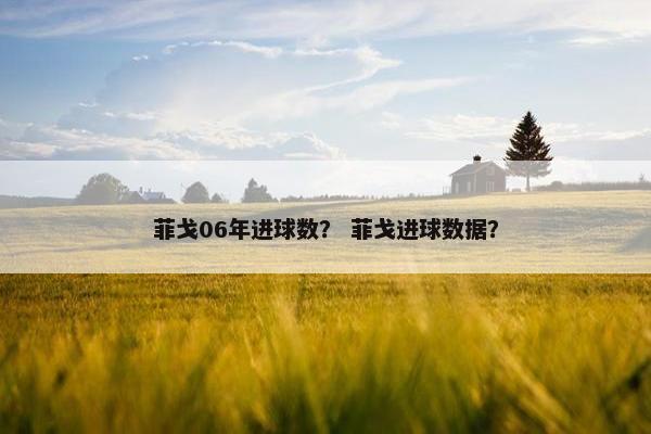 菲戈06年进球数？ 菲戈进球数据？