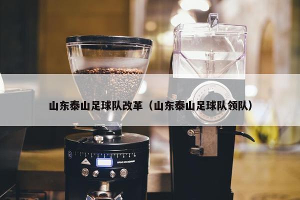 山东泰山足球队改革（山东泰山足球队领队）