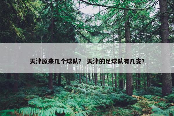 天津原来几个球队？ 天津的足球队有几支？
