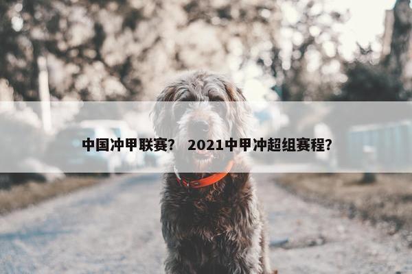 中国冲甲联赛？ 2021中甲冲超组赛程？