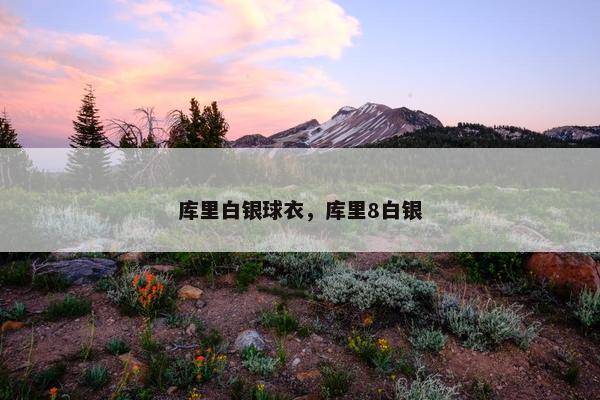 库里白银球衣，库里8白银