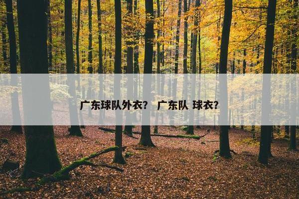 广东球队外衣？ 广东队 球衣？