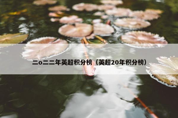 二o二二年英超积分榜（英超20年积分榜）