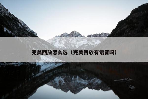 完美回放怎么选（完美回放有语音吗）