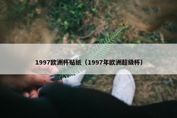 1997欧洲杯贴纸（1997年欧洲超级杯）