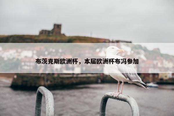 布茨克斯欧洲杯，本届欧洲杯布冯参加
