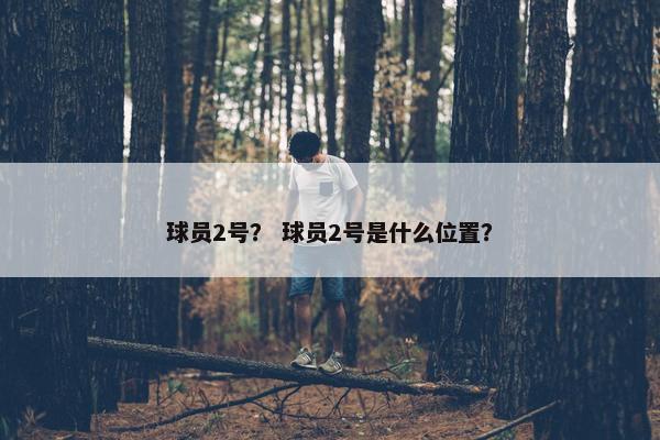 球员2号？ 球员2号是什么位置？