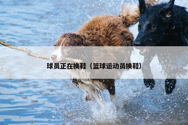 球员正在换鞋（篮球运动员换鞋）