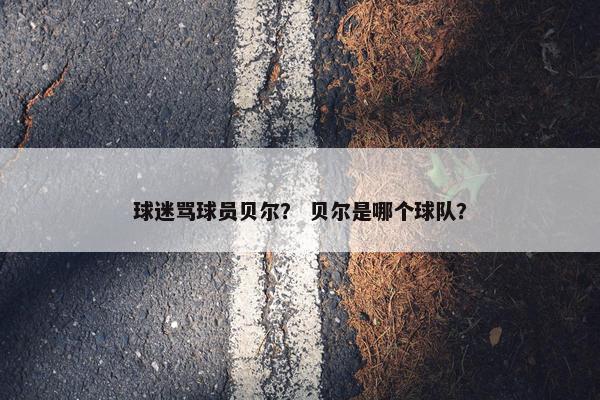 球迷骂球员贝尔？ 贝尔是哪个球队？