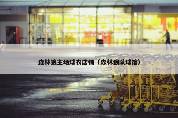 森林狼主场球衣店铺（森林狼队球馆）