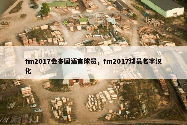 fm2017会多国语言球员，fm2017球员名字汉化