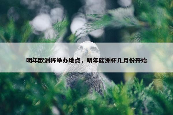明年欧洲杯举办地点，明年欧洲杯几月份开始