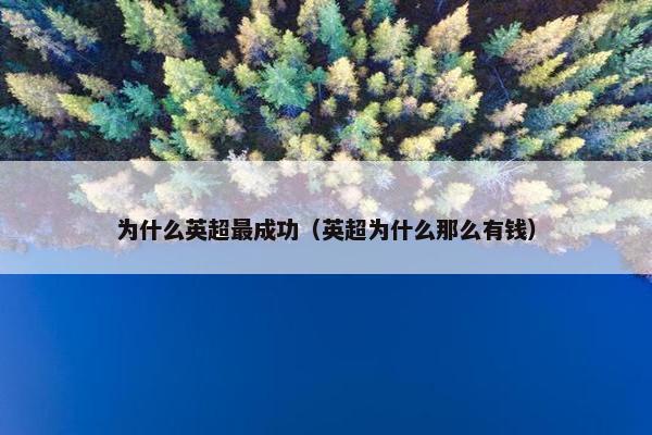 为什么英超最成功（英超为什么那么有钱）