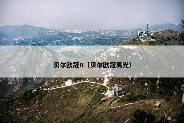 贝尔欧冠B（贝尔欧冠高光）