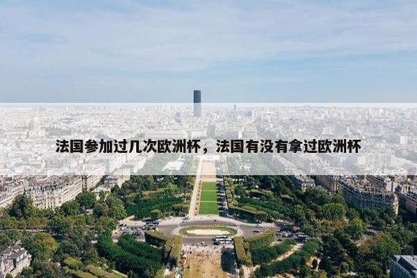 法国参加过几次欧洲杯，法国有没有拿过欧洲杯