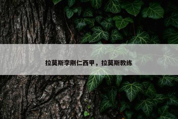 拉莫斯李刚仁西甲，拉莫斯教练