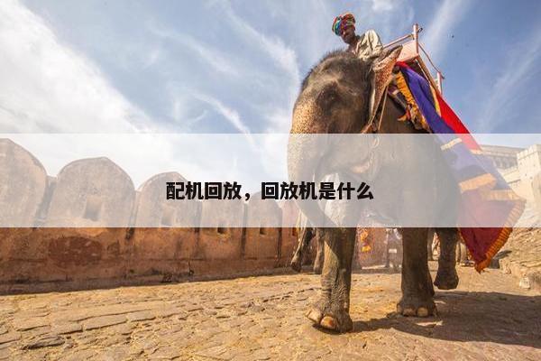 配机回放，回放机是什么
