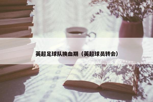 英超足球队换血期（英超球员转会）