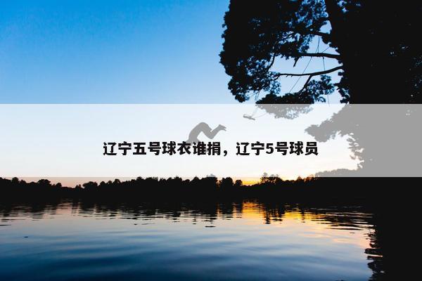辽宁五号球衣谁捐，辽宁5号球员