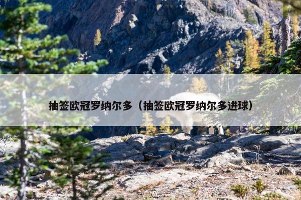 抽签欧冠罗纳尔多（抽签欧冠罗纳尔多进球）