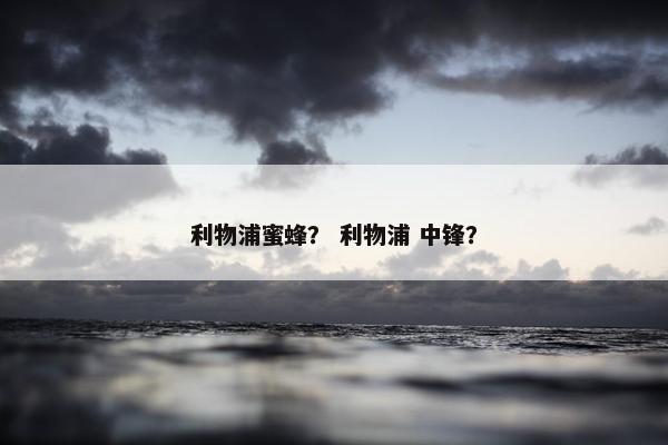 利物浦蜜蜂？ 利物浦 中锋？
