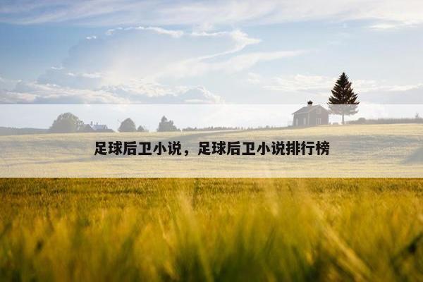 足球后卫小说，足球后卫小说排行榜