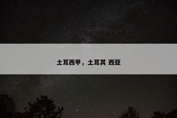 土耳西甲，土耳其 西亚