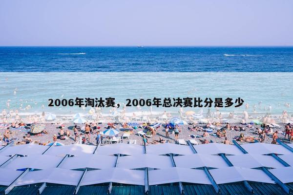 2006年淘汰赛，2006年总决赛比分是多少