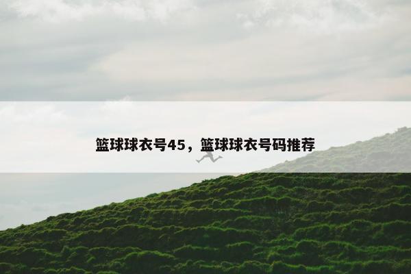 篮球球衣号45，篮球球衣号码推荐