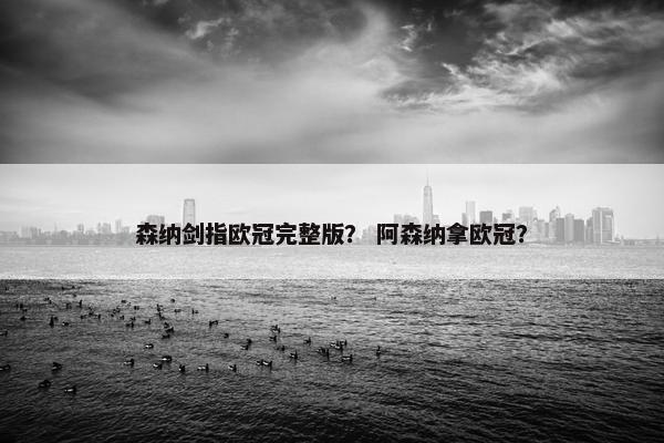 森纳剑指欧冠完整版？ 阿森纳拿欧冠？