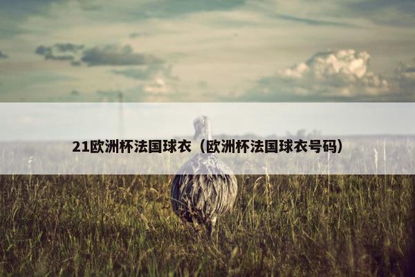 21欧洲杯法国球衣（欧洲杯法国球衣号码）
